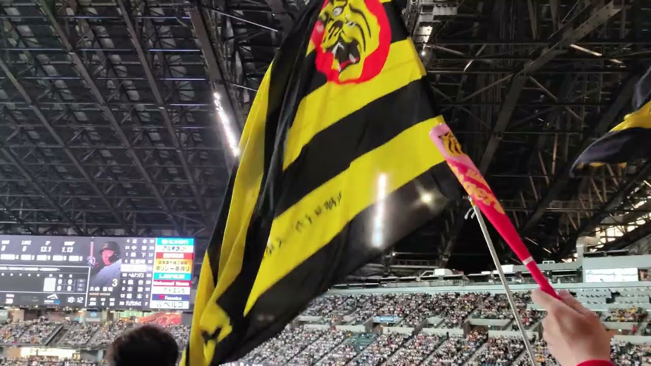 セ・パ交流戦！ 北海道エスコンフィールド 日本ハムファイターズVS阪神