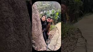 ⚡ Япония превращает шаги в электричество! 🇯🇵🚶♂️#trending #shorts #youtube