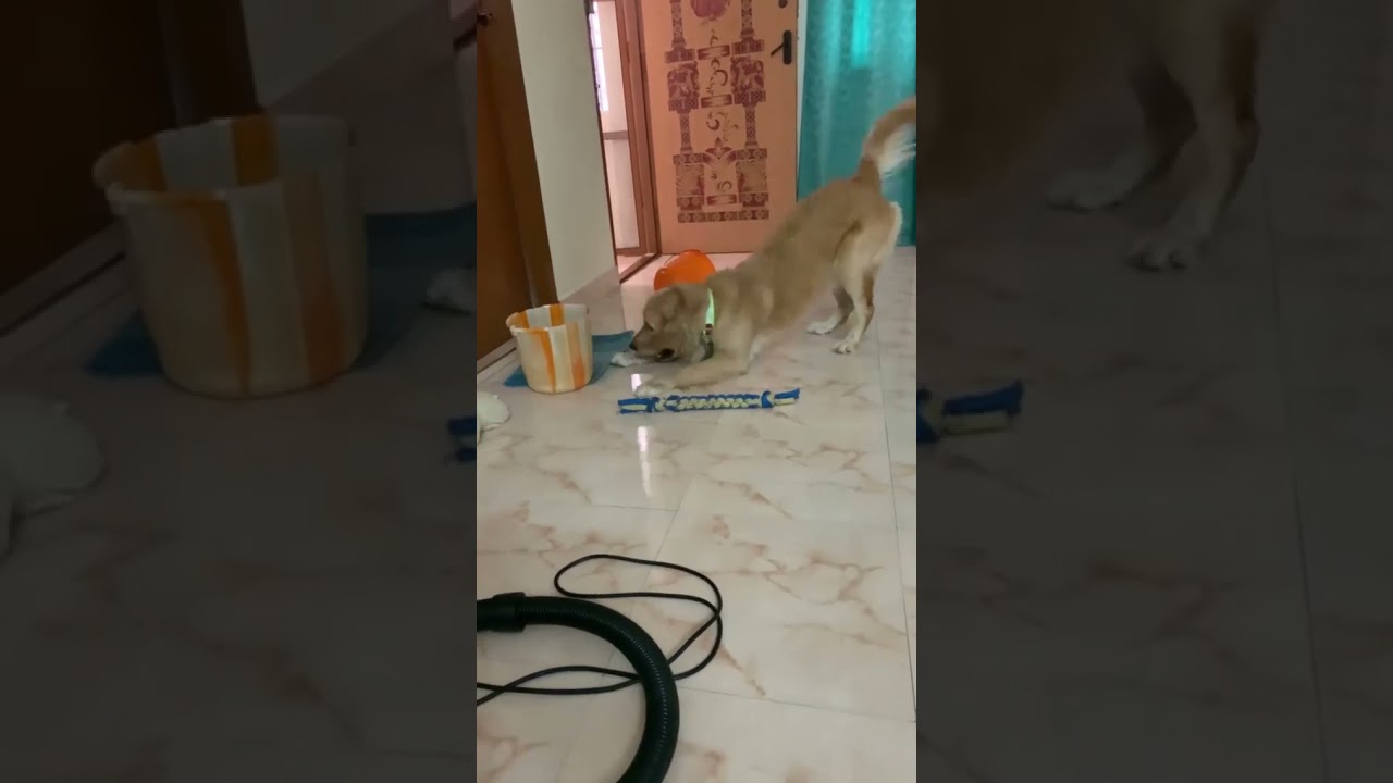 innum enna paithyakarane nenachut iukala🤣 