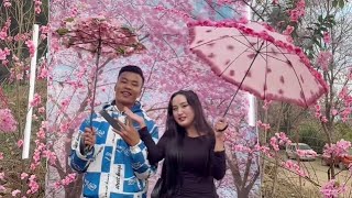 Download Lagu Cherry Blossom Festivals 2025 is here 🍒🌸 MP3