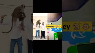 Wild Monkey😱😰🦧|| Pura dekho🥹|| Piyush khubnani || #shorts #ytshorts #trending