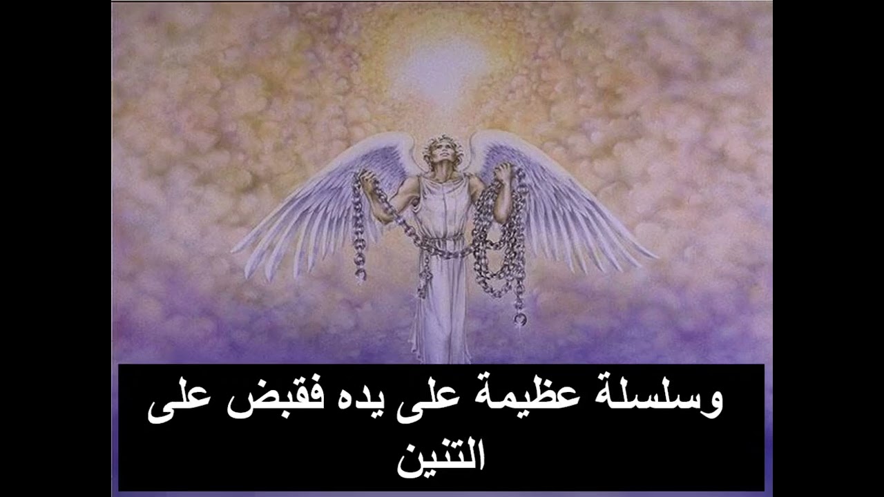 تفسير سفر الرؤيا  - اصحاح 20 (مٌلك المسيح - دينونة الشيطان )  -  ابونا داود مكرم