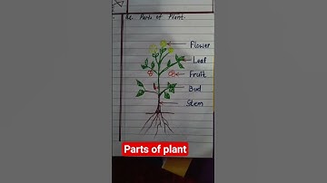 parts of plant// UKG EVS