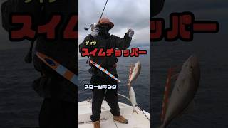 【ダイワ】スイムチョッパーでダブルヒット!