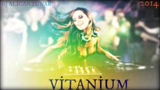 Dj Ali̇can Punar-Vi̇tani̇um-2014.?