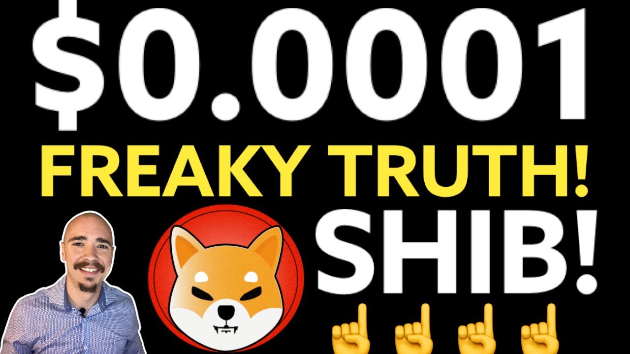 SHIBA INU COIN:THE 0 0001 LEVEL!! (DEEP DIVE)