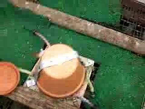 Chicken coop heater diy How to Protect Your Backyard Chickens in the Winter