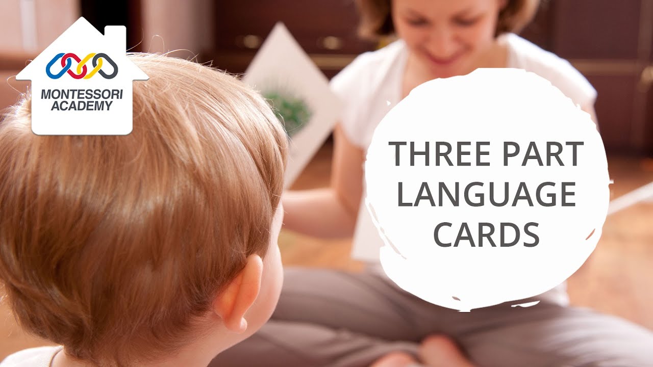 Montessori Language Arts Three Part Cards Free Printable