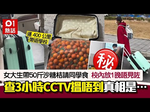 女生帶50斤沙糖桔返校請同學食　成篋唔見查CCTV搵唔到　真相是…｜01熱話｜沙糖桔｜失竊｜大學生