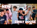 The Sway House New TikTok Compilation