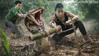 72 Hours to Set Traps for Giant Python Invading Farm - Extreme Danger for the Young Woman