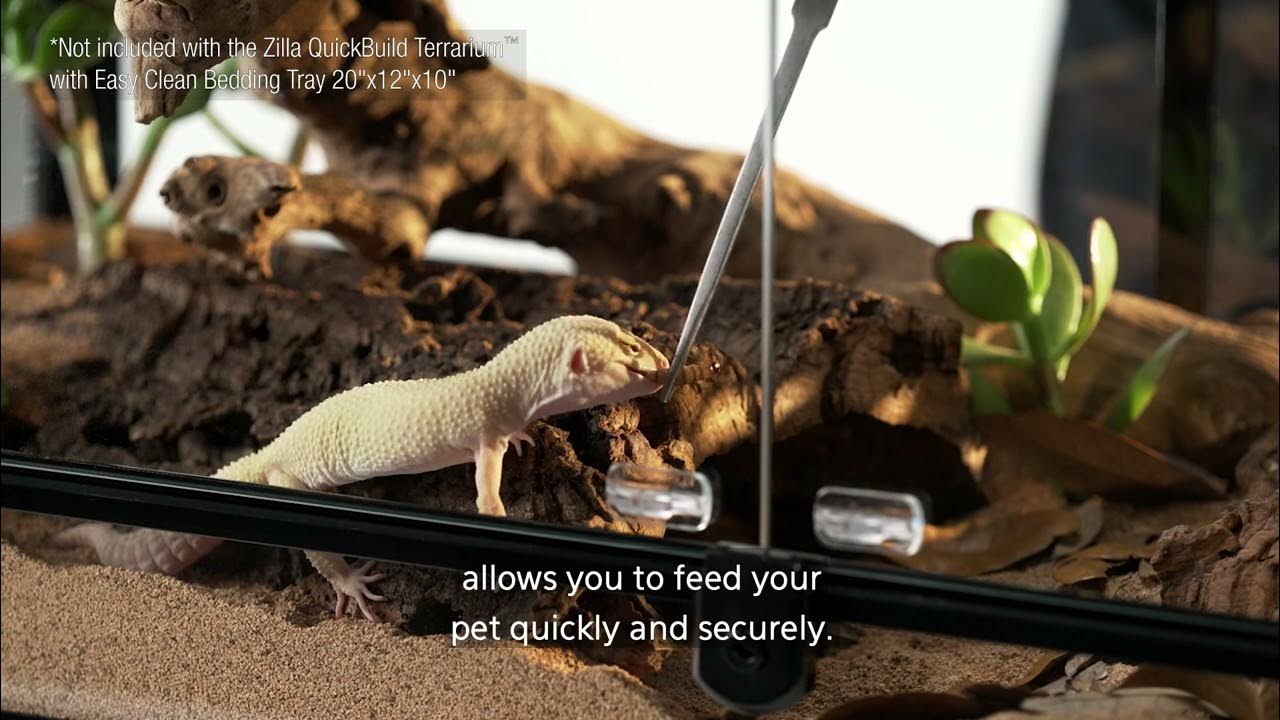 Zilla QuickBuild Terrarium YouTube