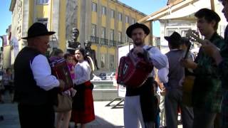 Feirão Viana do Castelo [ Video 1]