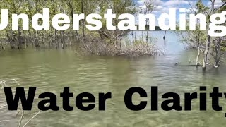 Bass And Water Clarity...Why You Will Never Be A Good Angler Unless You Understand It’s Effects