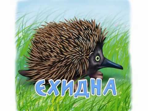 Абетка загадками Веселі Хтосики