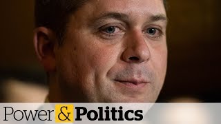 Scheer should resign and run again for his job, says ex-Harper aide | Power & Politics
