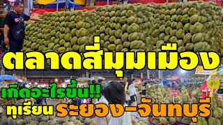 #ทุเรียนตลาดสี่มุมเมืองเริ่มต้น100บาท!ทุเรียนวันนี้ราคาส่งไม่น่าเชื่อว่า|ตลาดสี่มุมเมือง