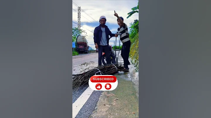 Helping Brother Carry Heavy Sticks | Kindness Story ❤️ #HelpingOthers #GoodDeeds #Brotherhood