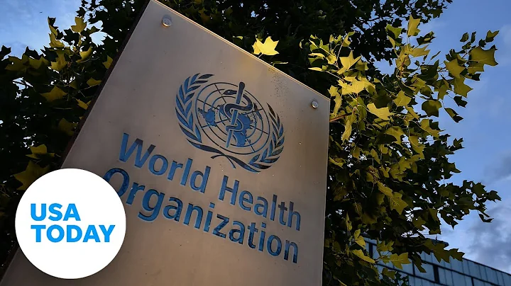 World Health Organization-China study on the origins of COVID-19 (LIVE) | USA TODAY