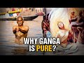 Science proved that ganga is pure  untold secrets of ganga