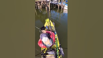 the @insta360 is my new favorite camera! #insta360 #kayakfishing #travel