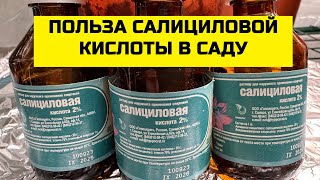 БИОЗАЩИТА РАСТЕНИЙ ЗА 25 РУБЛЕЙ!