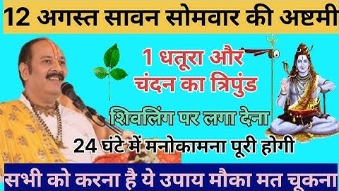 12 अगस्त सावन मास सोमवार की अष्टमी 1 धतूरा चंदन का त्रिपुंड धनलक्ष्मी रोग #pandit_pradeep_ji_mishra
