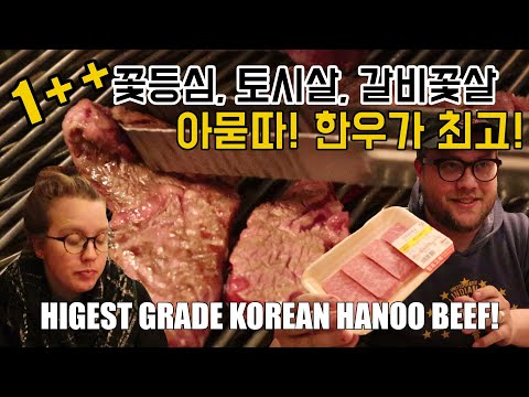 인생 고기, 한우를 만나다! 외국인 반응! 1++ Korean Hanoo Beef BBQ!