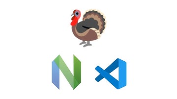 Feedkeys in lua — Neovim & VsCode