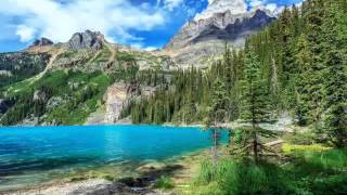 Dusty Tonez   Got That Funk