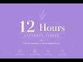 Lavender Screen 4K 12 Hours | The Soft Alternative to White & Black Screen