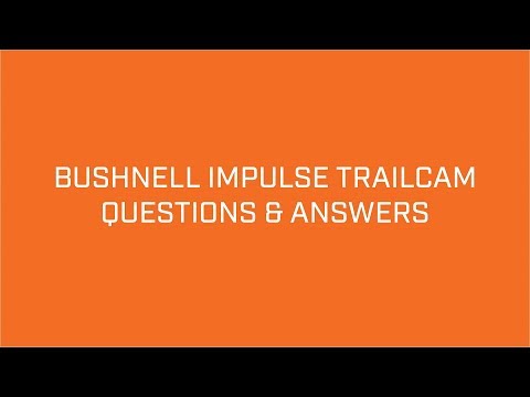 Bushnell Impulse Trail Camera Setup & FAQs