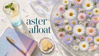 Aster Afloat 💧 Soft Piano for Reading, Writing & Gentle Focus | 2 Hours