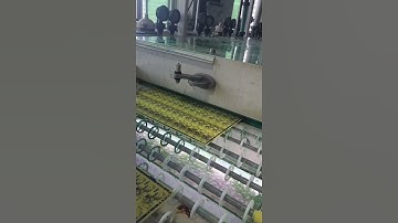 PCB Circuit Etching #pcbfactory #pcbuild #pcb