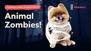 Animal Zombies! | I Learned a Thing in the Bathroom Podcast