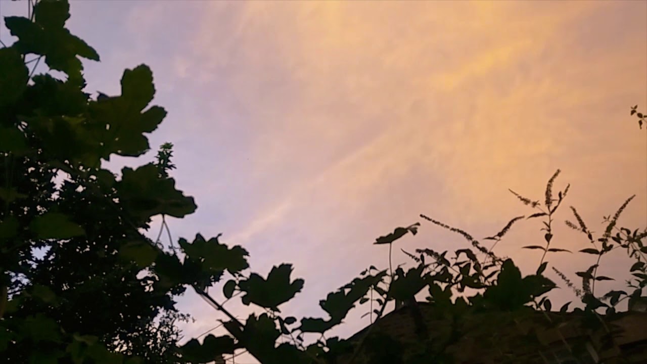 Dragon sky over London Thursday Evening! 🐉