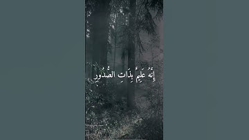 #قرآن للقارئ #الحصري من سورة الشورى... وَيَمْحُ اللَّهُ الْبَاطِلَ.... #explore #اكسبلور