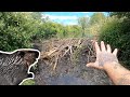 Huge mother beaver dam removal