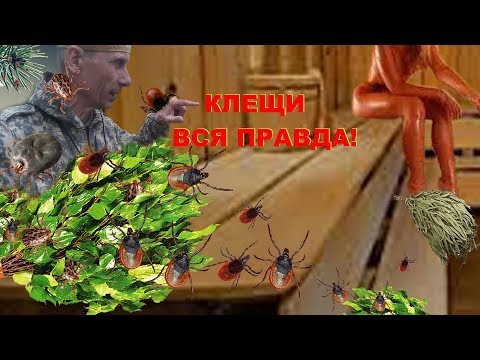 Клещи! Как Вам Врут! 100% Защита от клещей. Клещ укусил Как Выжить. Как вытащить клеща Вся Правда