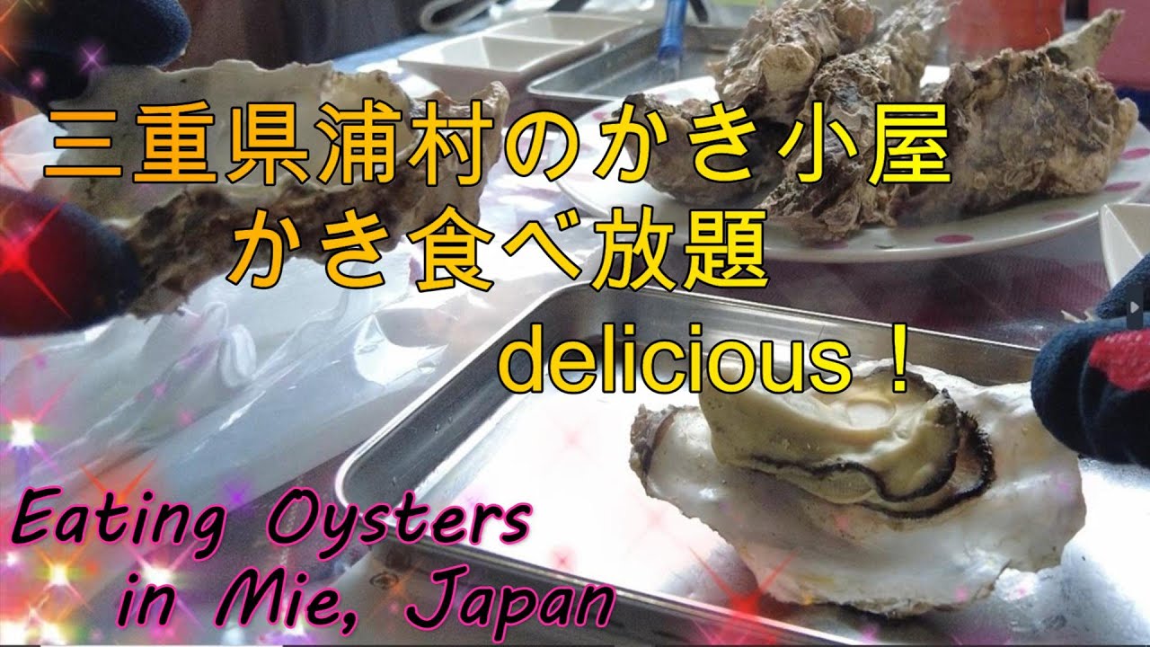 【日本の味覚に出会う旅】三重県鳥羽市浦村のかき小屋久保田水産へ。冬の旬を味わう日帰り旅です。冬の冷たい海で育まれた新鮮な牡蠣を存分に堪能しました。＃グルメ＃牡蠣＃三重県