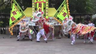 香港功夫表演2017010815