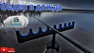 Ловля на фидер. Фидер в дождь. Фидерная ловля. РЫБАЛКА НА ФИДЕР. Фидерная рыбалка.