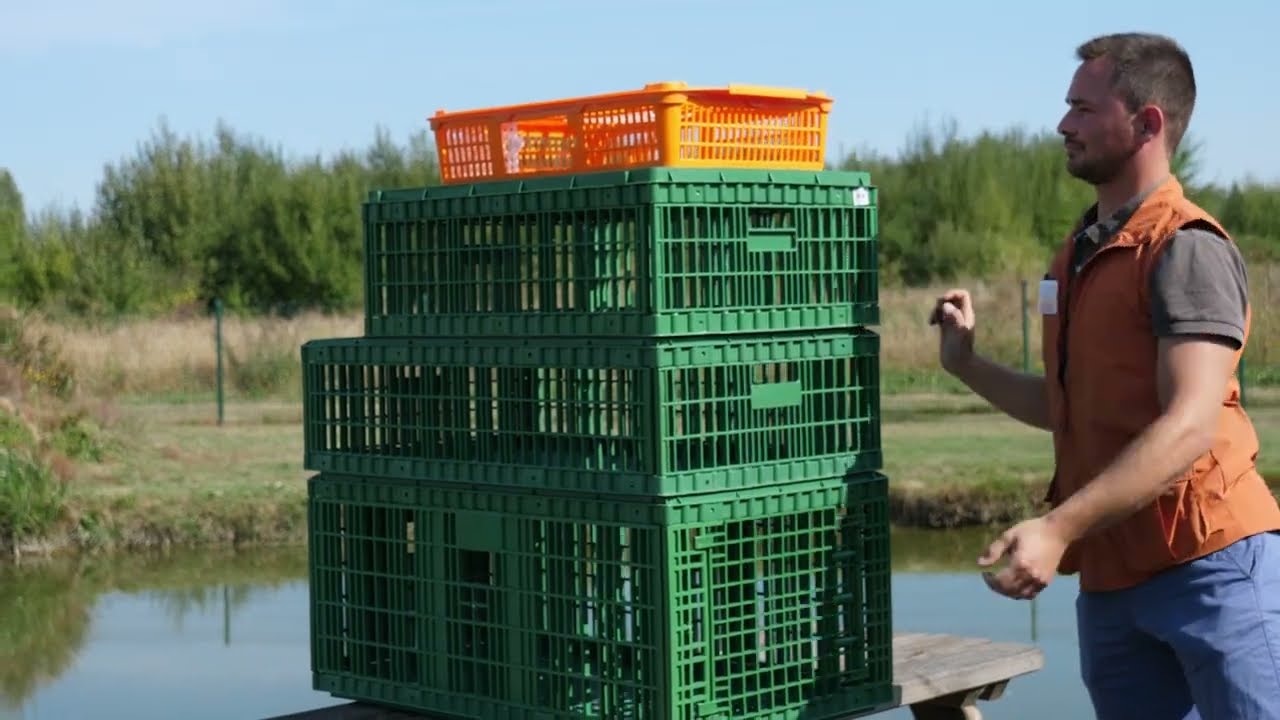 Caisse de transport pour appelants