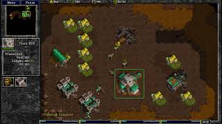 Warcraft 2 Winding ways