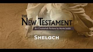 Shelach | Erev Shabbat 2026