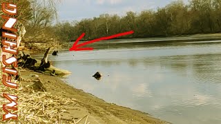 Видео Подводник БЕЗПРЕДЕЛЬЩИК. Грубое нарушение подводной охоты. YM fishing (автор: YM Fishing Юрий Мищенко)