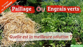 Engrais Verts Versus Paillage, Le Comparatif Pour Mieux Protéger Son Sol - Le Conseil Des 4 Saisons
