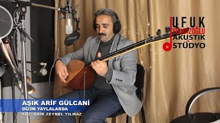 Arif Gülcani - Bizim Yaylalarda Resimi