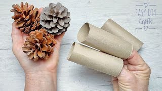 Look What I Made With 2 Pine Cones And 1 Toilet Paper Roll! Recycle