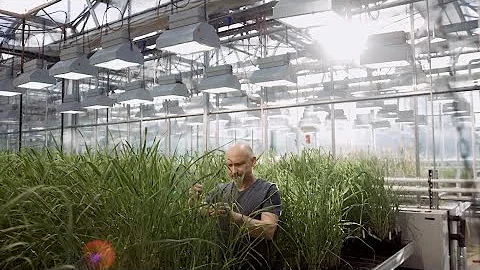 Center of Excellence - 加特斯雷本綠色大門——植物生物科技中心  Green Gate Gatersleben (Chinese Subtitles) - 天天要聞